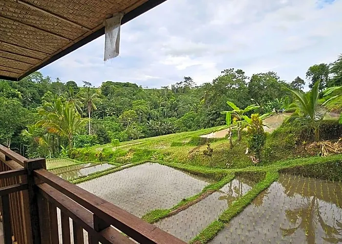 Umauthu Bali