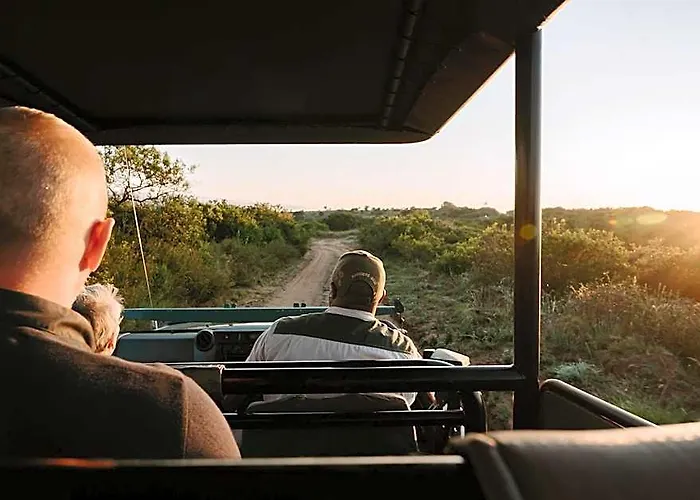 Bukela Game Lodge - Amakhala Game Reserve