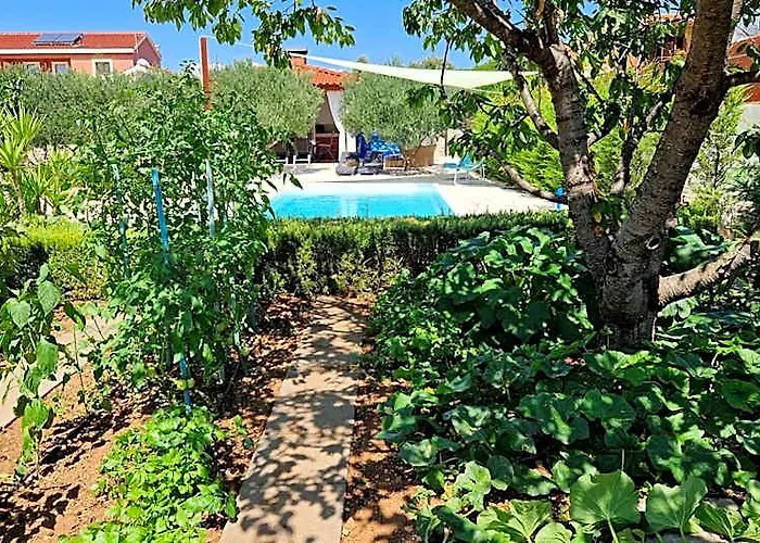Resort Apartment Petrovic