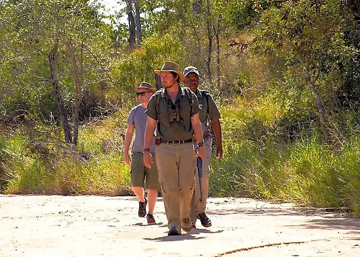 Shindzela Tented Safari Camp And Walking Safaris Accommodation