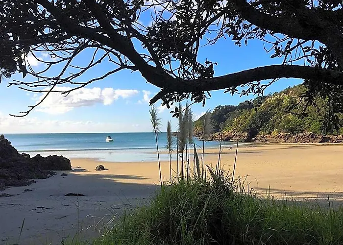 Kiwi House Waiheke