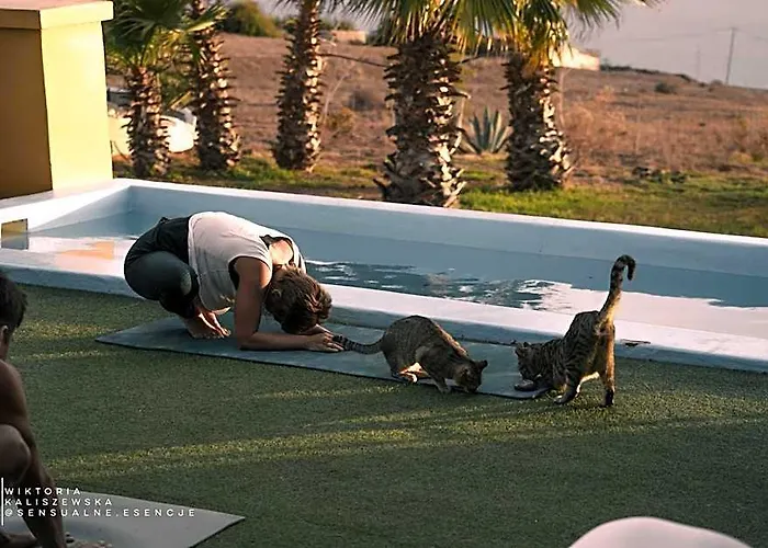Adeje - Twinfin Hostel & Surf Yoga Camp