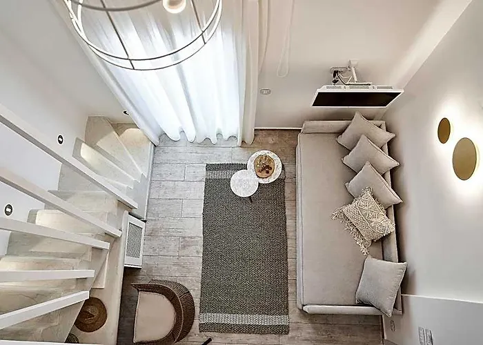 Petri Suites