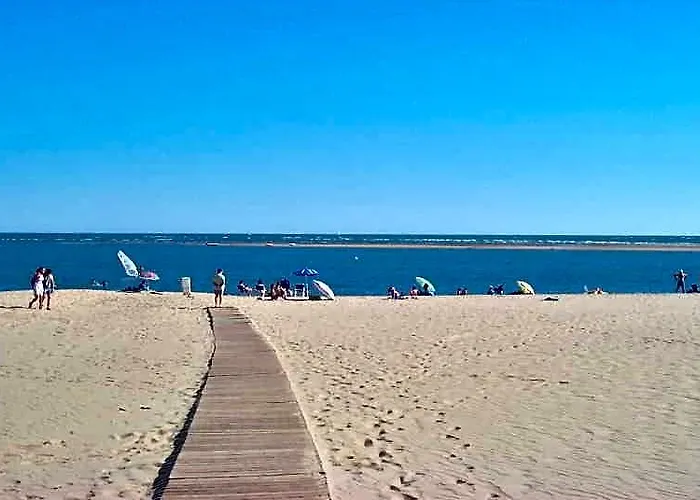Leo San Bruno I - II