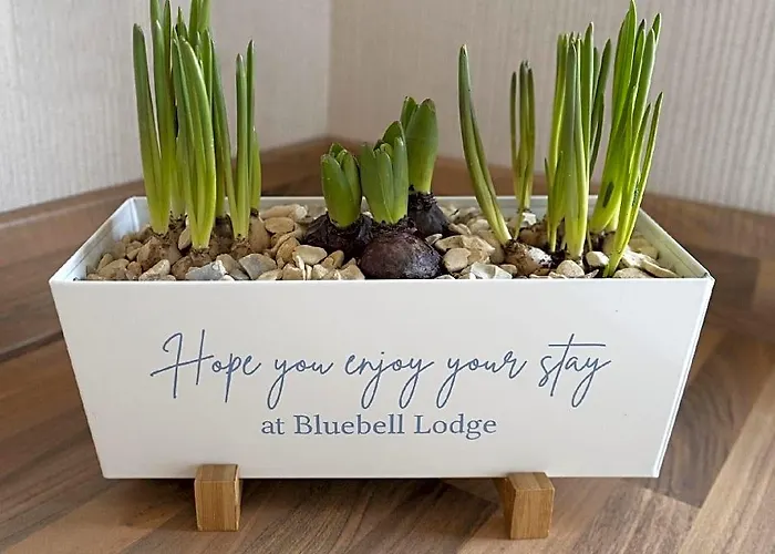 Hollicarrs - Bluebell Lodge