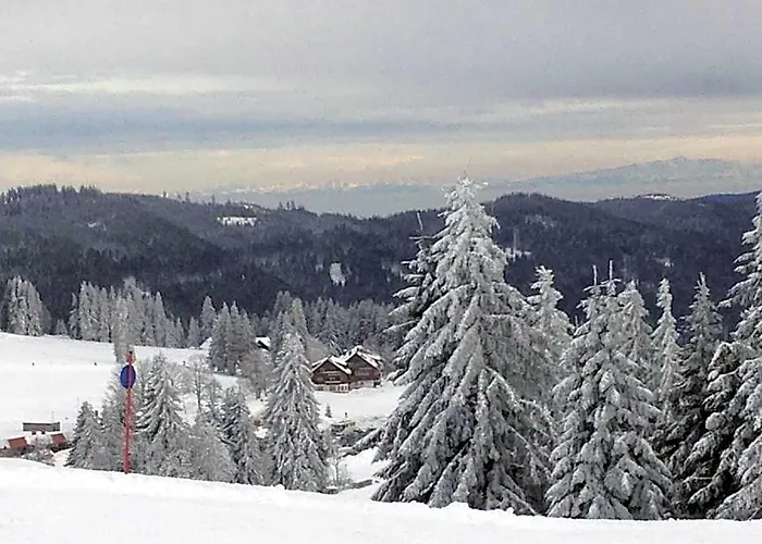 Pop-Up Stuub Feldberg