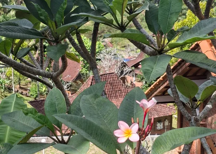 Kebun Villa, Belimbing, Bali