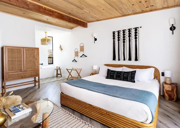 The Roadrunner Boutique Motel