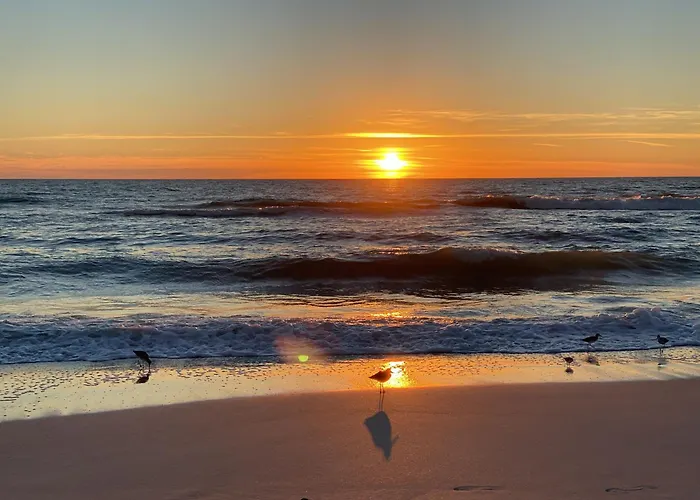 A Tropical Breeze Beach Club - Anna Maria Island
