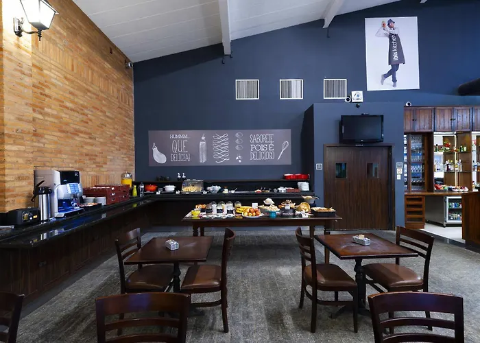 Ibis Sao Carlos
