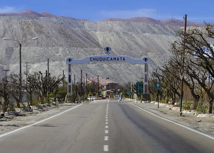 Ibis Calama