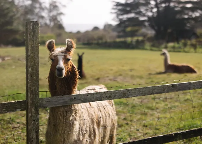 Scp Mendocino Inn And Farm