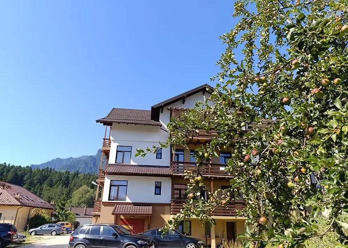Vila Panoramic Busteni