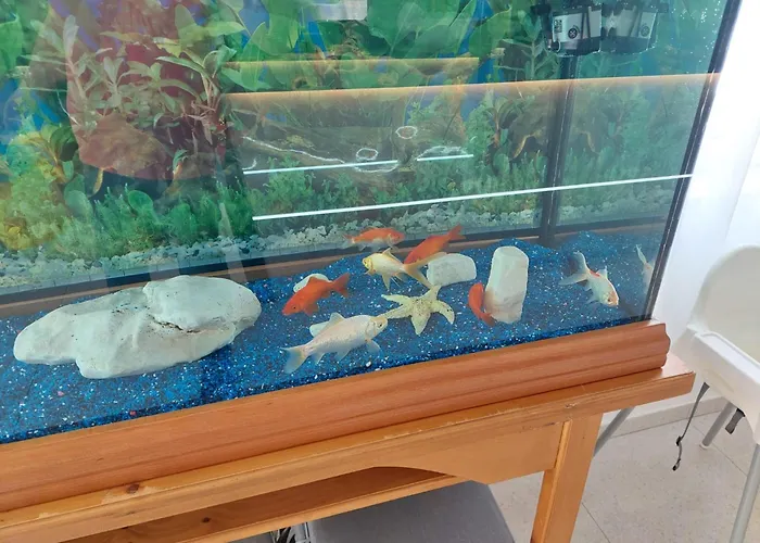 Restaurant Aequum Seafood House