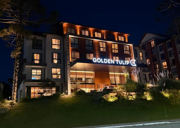 Golden Tulip Canela