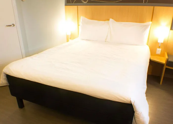 Ibis Imperatriz