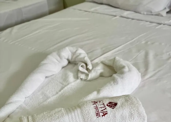 Hotel Letiva Centro