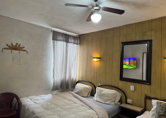 Hotel Metropolitano