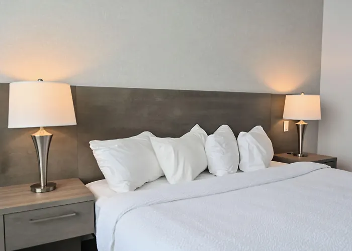 Repotel Levis
