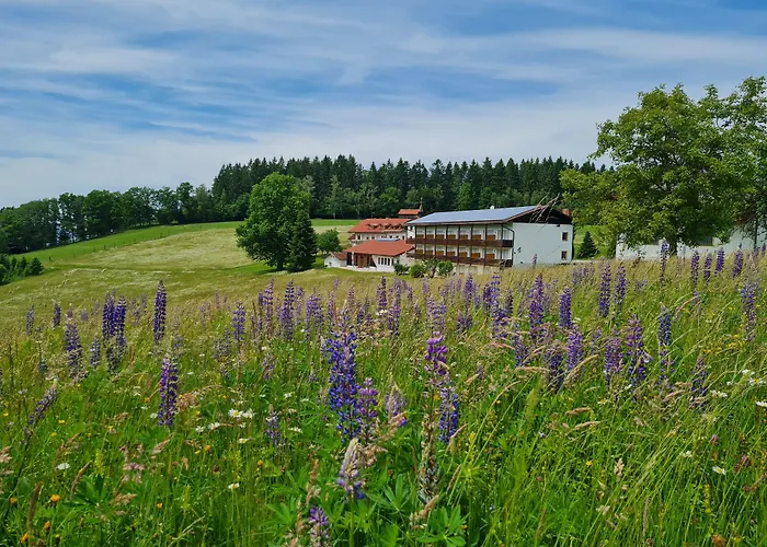 Osserhotel - B&B Am Osser