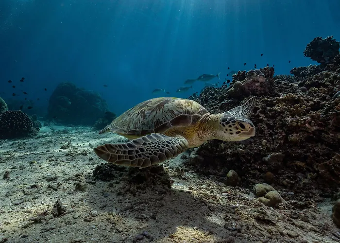 Trawangan Dive Centre