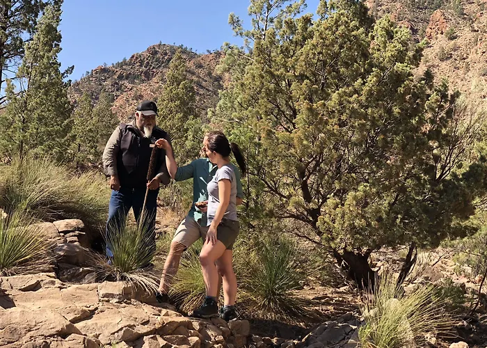 Discovery Resorts - Wilpena Pound