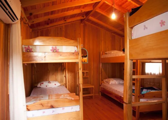 Bayrams Tree Houses