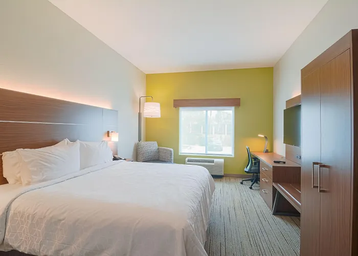 Holiday Inn Express Hotel & Suites Tampa-Usf-Busch Gardens By Ihg