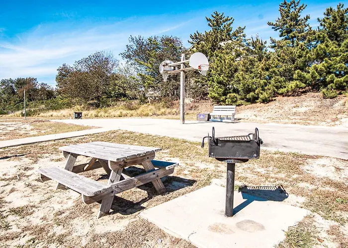 Barrier Island Station