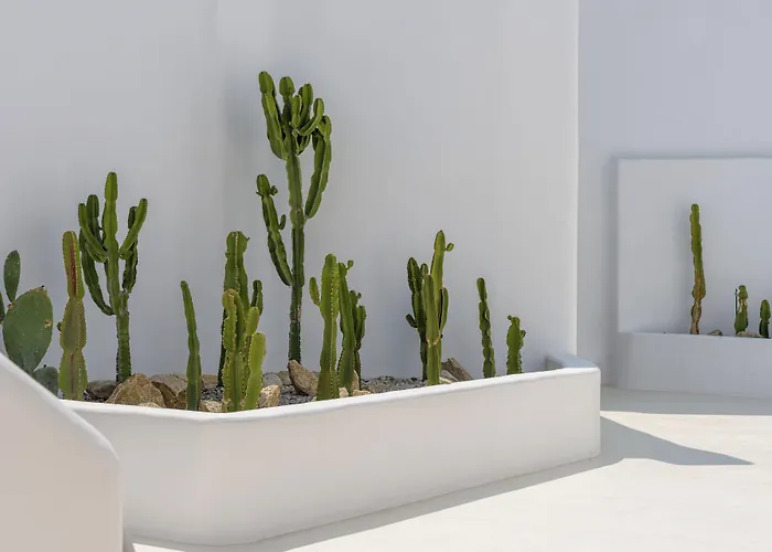 Rocabella Mykonos Hotel - Member Of Design Hotels