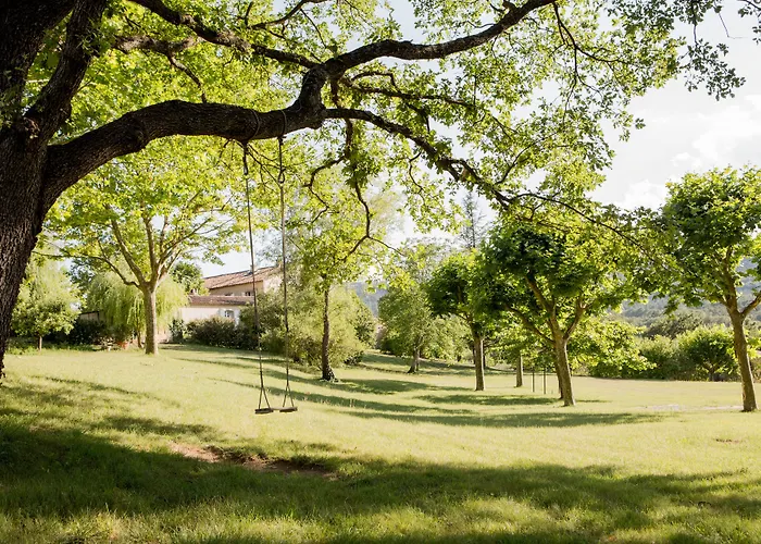 La Bastide De Moustiers - Les Collectionneurs