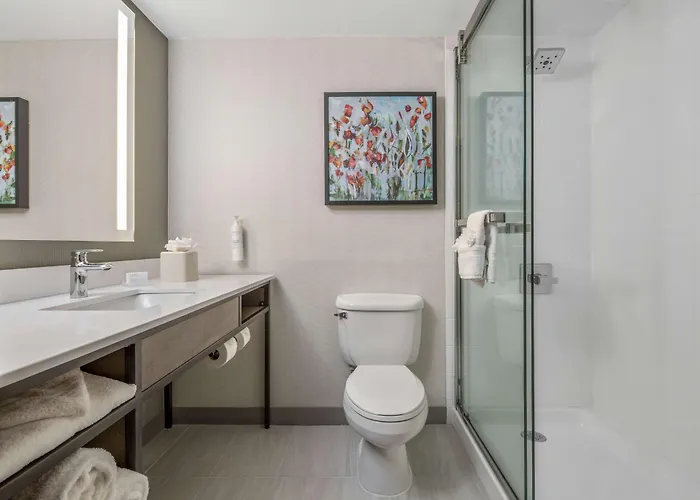 Hilton Garden Inn Dallas/Allen