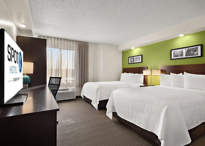 Spot X Hotel Wesley Chapel - Tampa Area