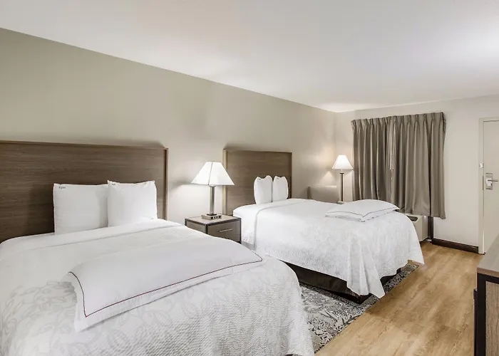 Red Roof Inn Plus+ Dallas - Addison