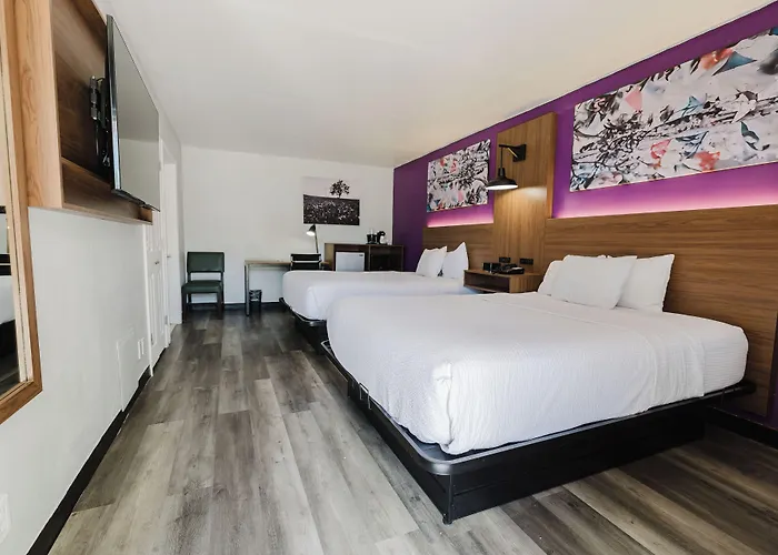 La Quinta Inn By Wyndham Amarillo Mid-City