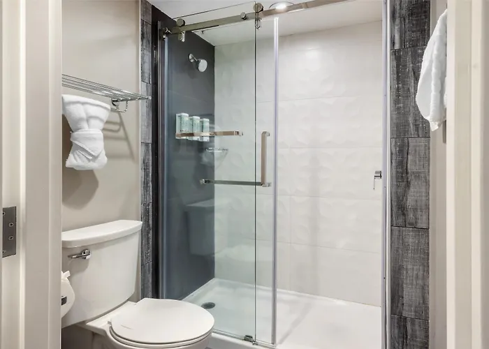 Surestay Plus By Best Western Santa Clara Silicon Valley