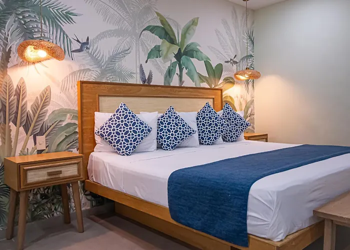 La Iguana Vallarta Lgbt Adults Only - Romantic Zone - Party Clubbing Street