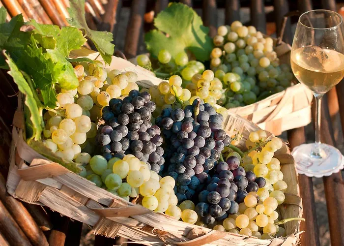 Albergo 'La Vigna'