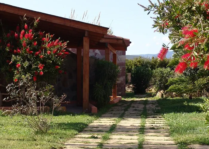 Il Gabbiano