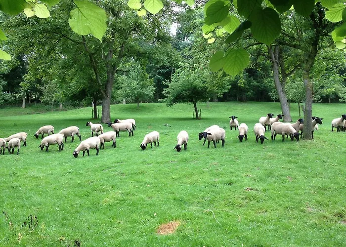 Ferme Des Chartroux