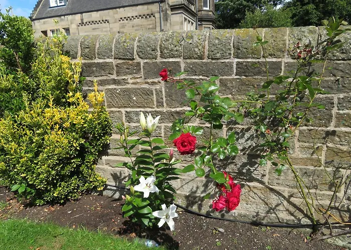 Duthus Lodge Guest House