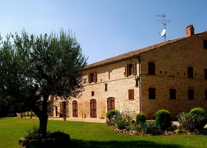 Il Gallo Del Vicino