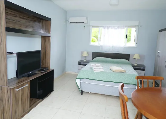 Palmas del Caribe