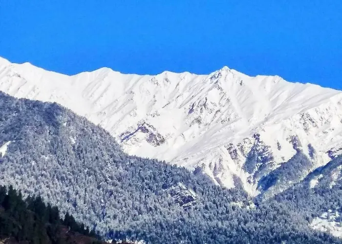 Soham'S Chateau De Naggar - Manali