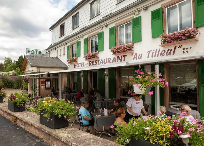 Hôtel Restaurant et Spa Au Tilleul