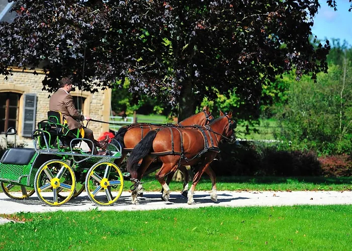Le Domaine Chateau Du Faucon