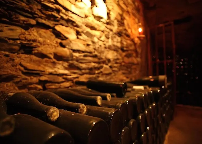 Hotel Weingut Schuetzen