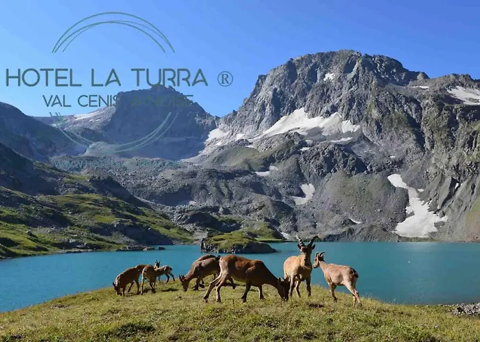 Hotel Restaurant La Turra