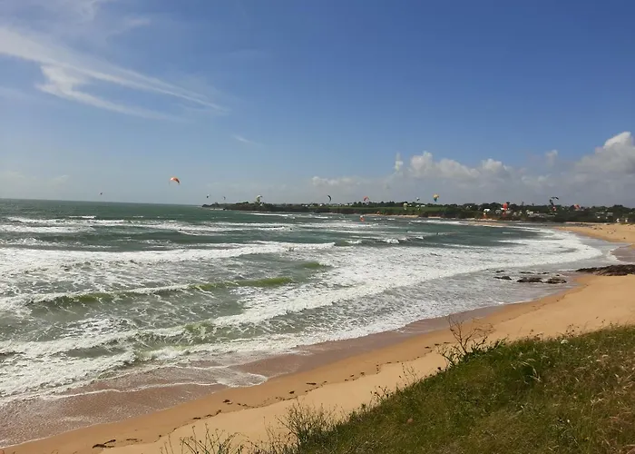Home des Pins SARL